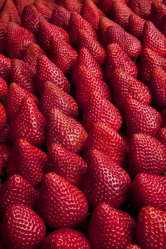 science of strawberries
