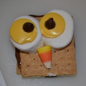 owl s'more treats