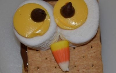 Cute Owl Smores Cookie Recipe!