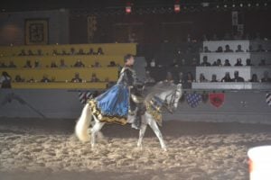 Medieval Times