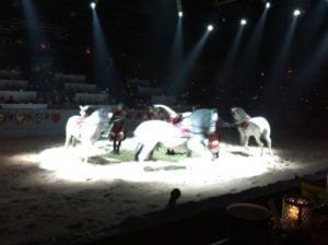 Medieval Times