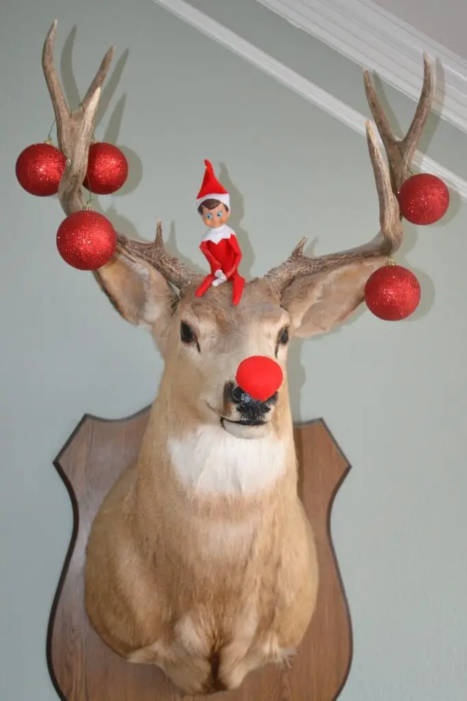 elf on a shelf with rudolph