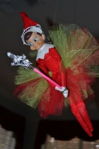 elf on a shelf - princess tutu
