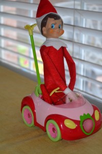 elf on a shelf road rally