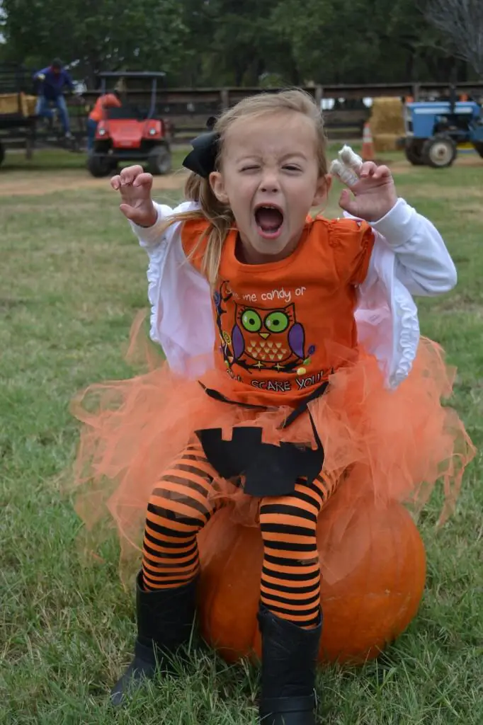 scary pumpkin hunter