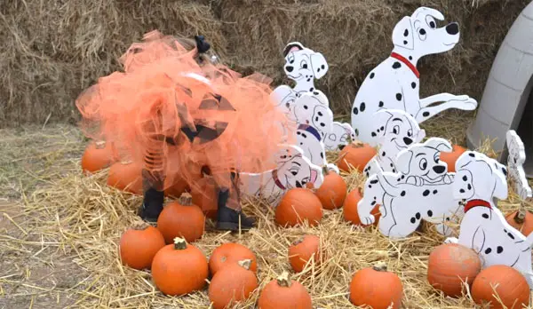 Hallowwen costume pumkin tutu