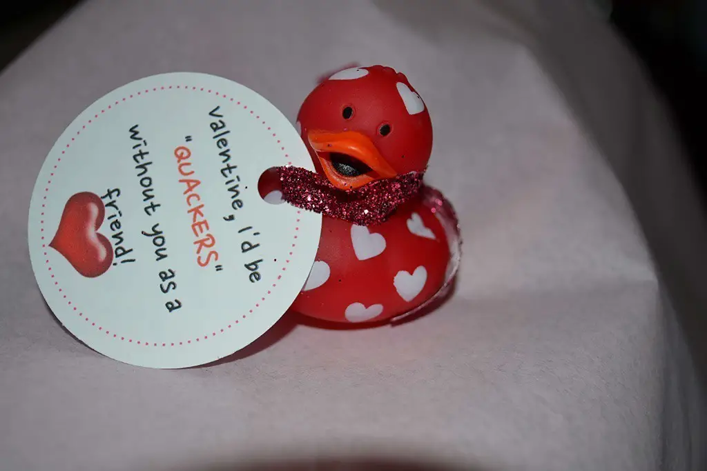 quackers valentine rubber duck valentine