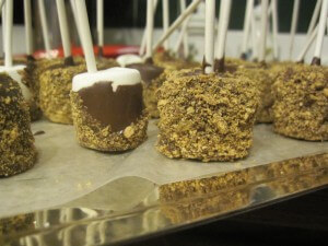 smores on a stick