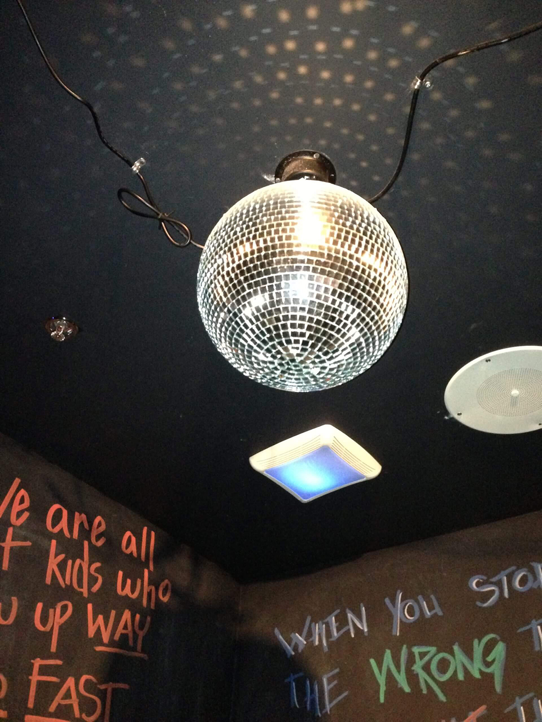 Twisted Root Disco Potty Disco Potty at Twisted Root