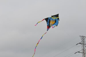 Japanese kites at reliant kite relay