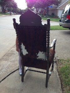 back of cow hide chair