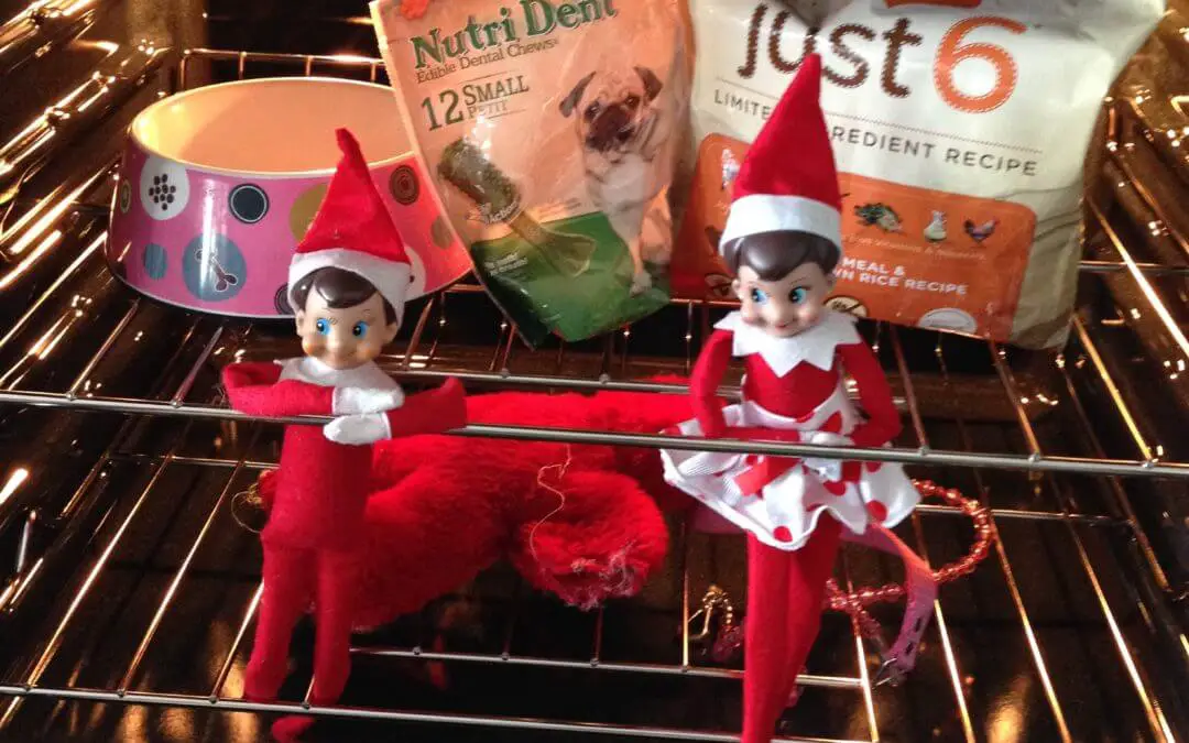 elf keep away with dog food