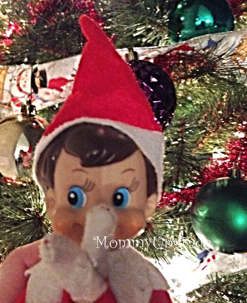 elf closeup elf closeup