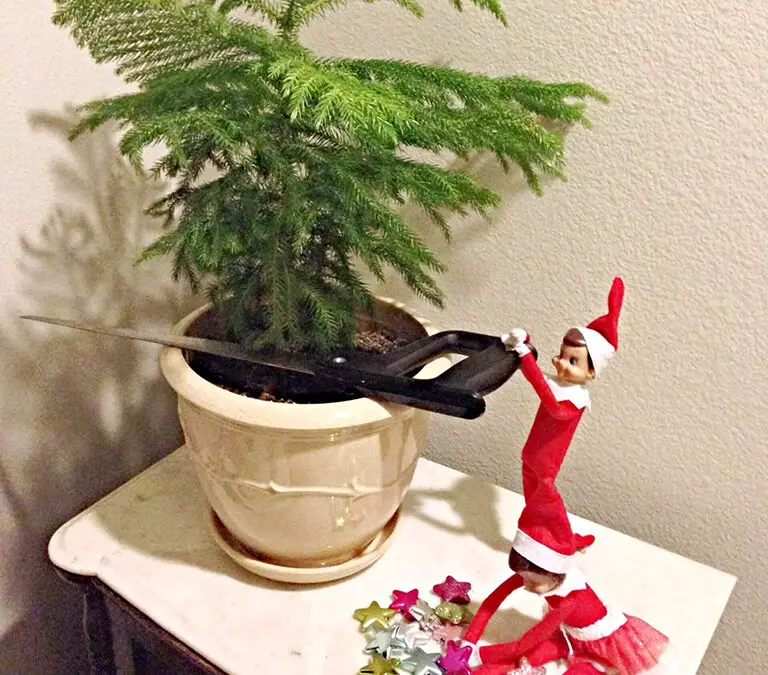 elf on a shelf cutting down tree