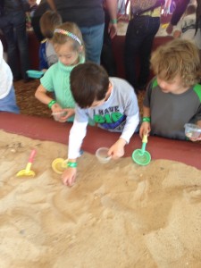 digging for fossils in glen rose