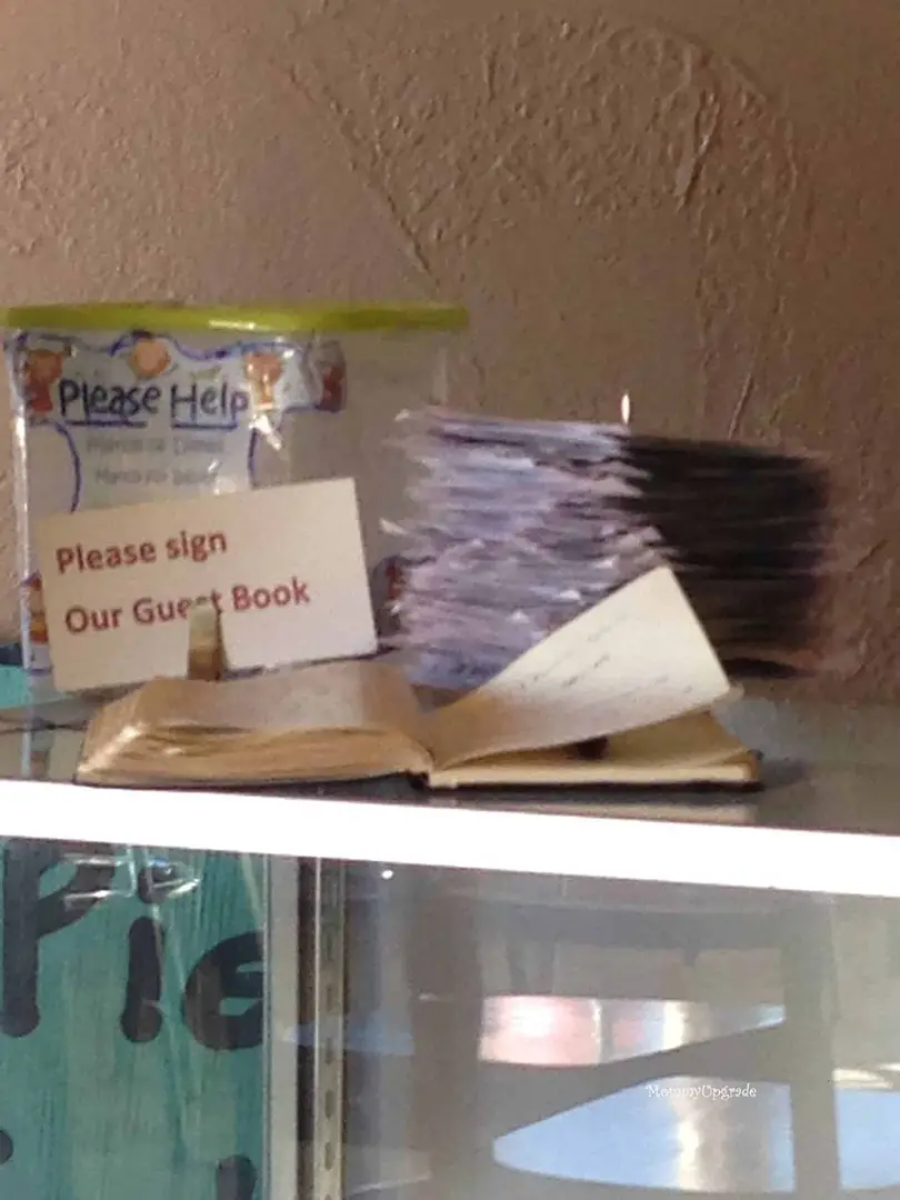 spring break receipts at pie peddlers tickets at pie peddlers