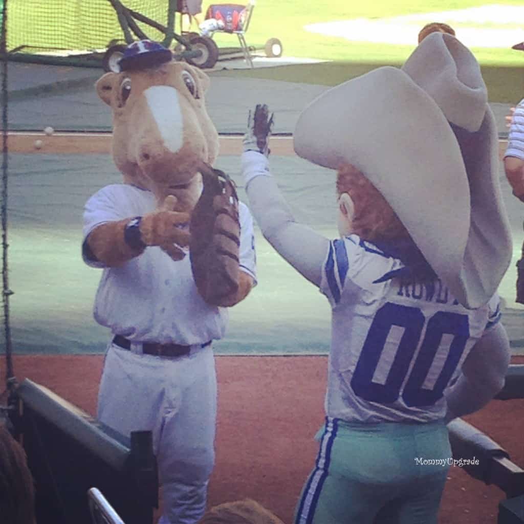 mascot bromance dallas cowboys and texas rangers