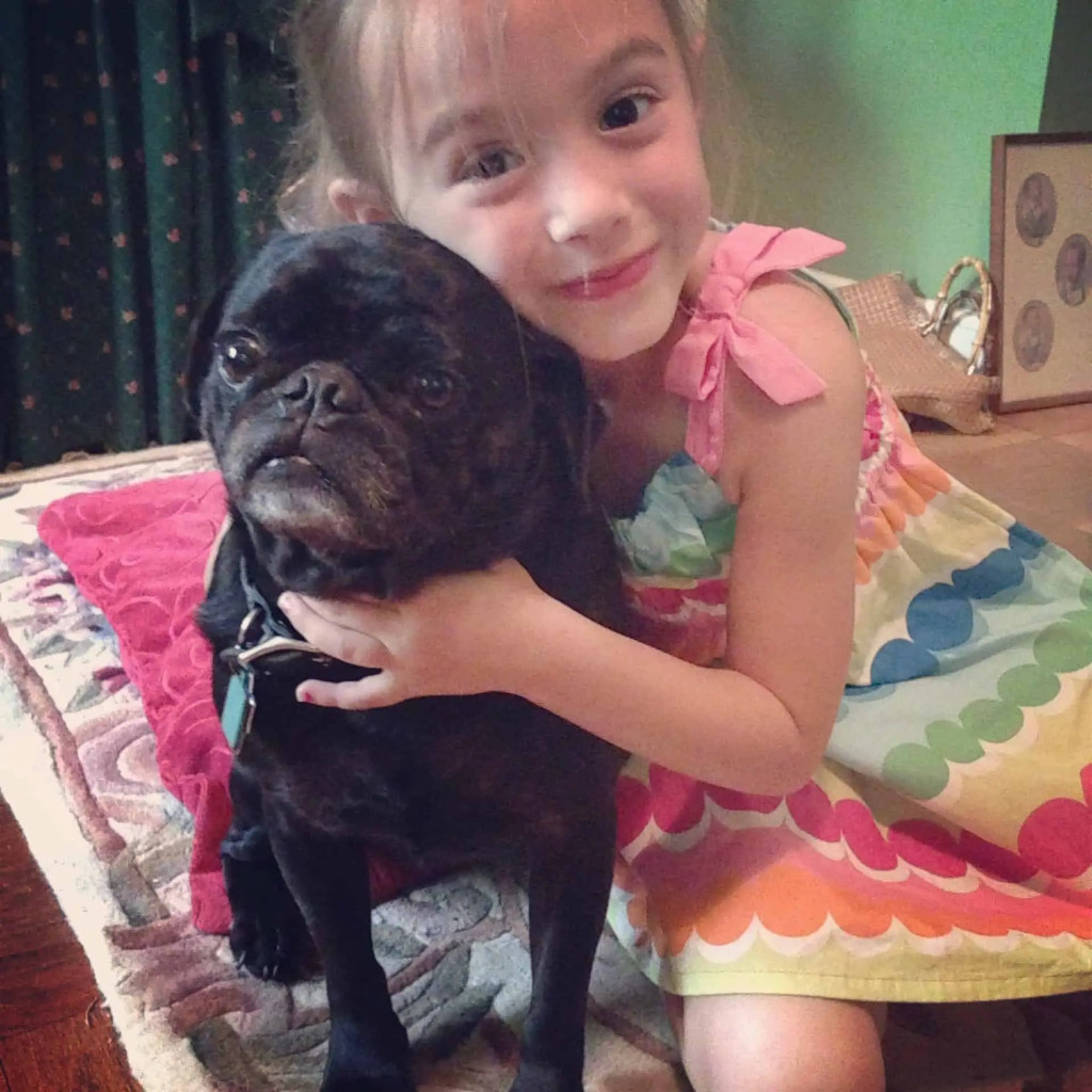 Princess and pug Princess and pug