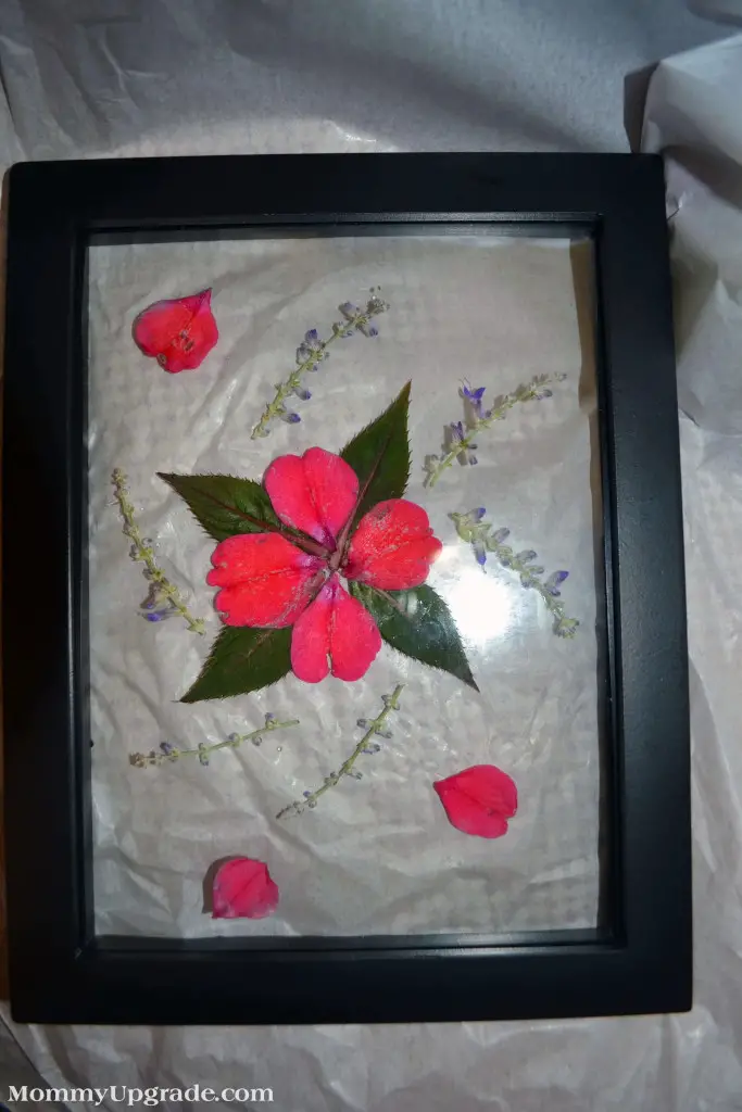 pressed flower frames