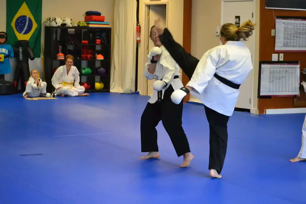 Elizabeth Treger black belt