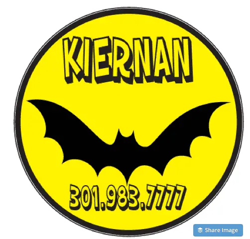 kidecals kids labels batman