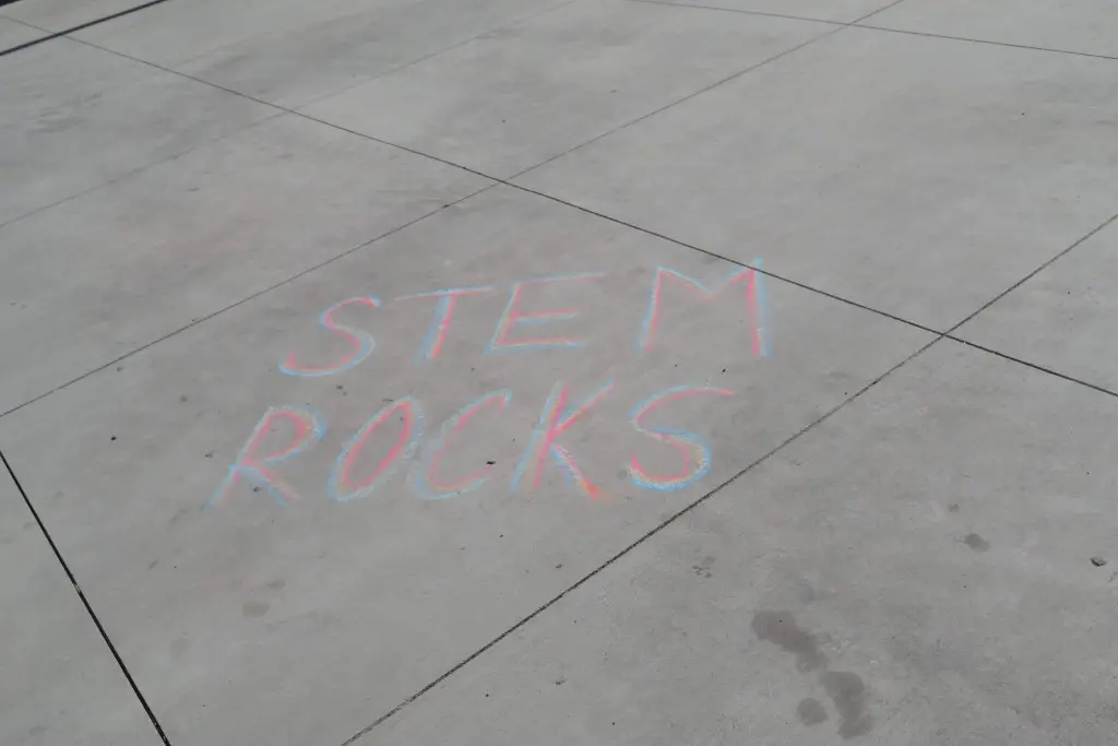 stem rocks