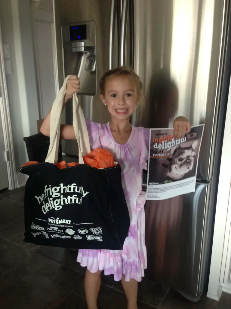Cupcake with Halloween bag and poster