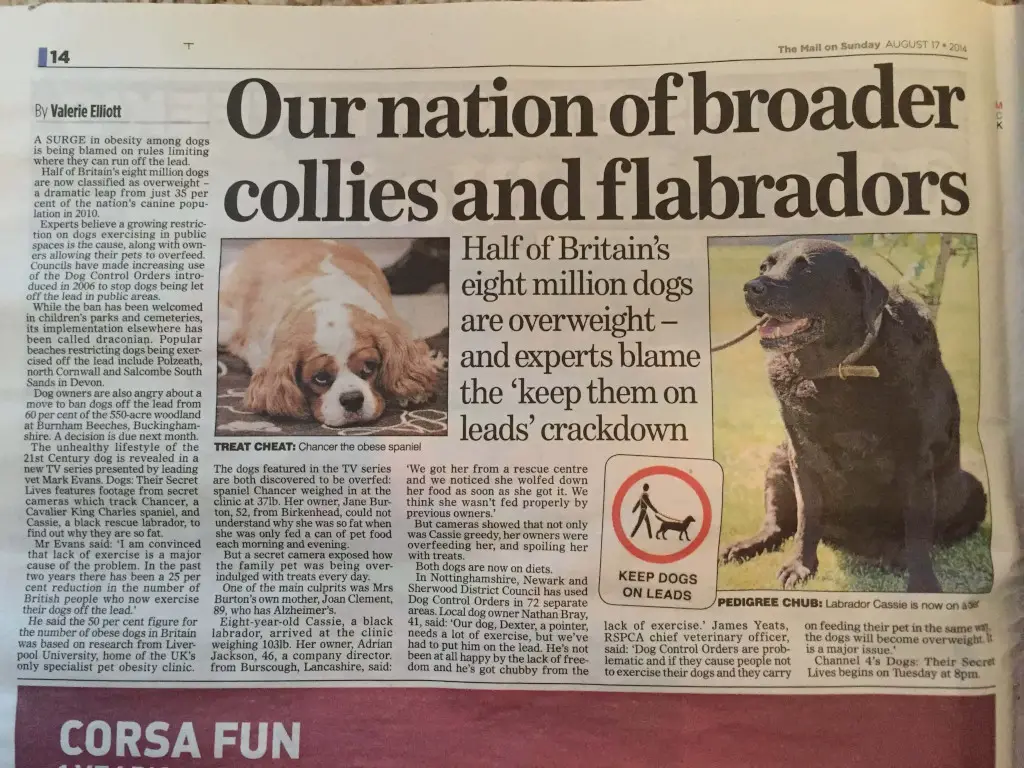 UK newspaper on fat dogs