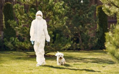 How this Dallas Mom feels about Ebola