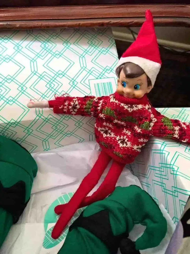 elf enjoying sweater