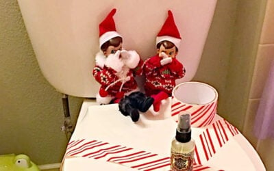 Elf on the Shelf Roundup