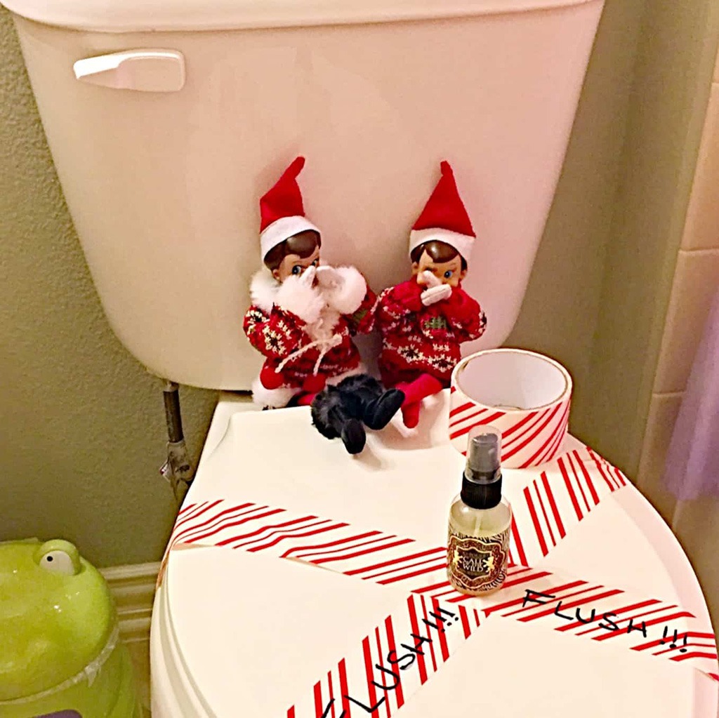 forgetful flusher elf on the shelf