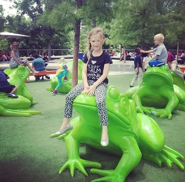 perot museum frog