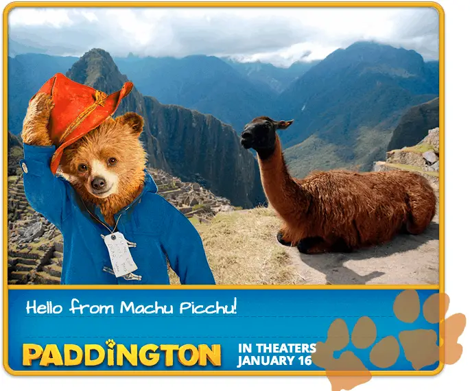 Paddington App