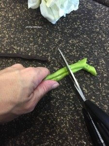 cutting the stem