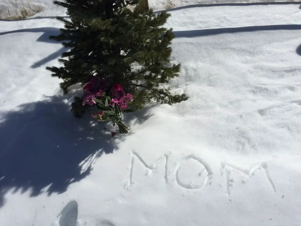 flowers at estes park cemetery