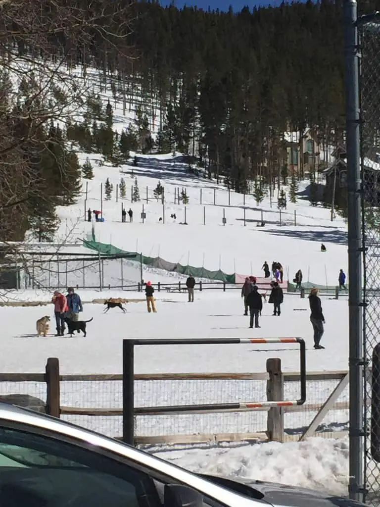 carter park breckenridge colorado