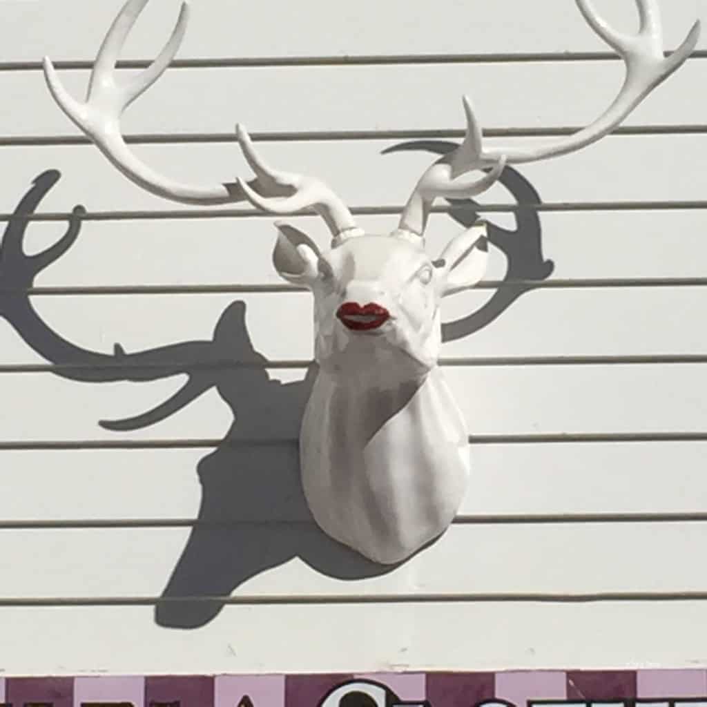 breckenridge store