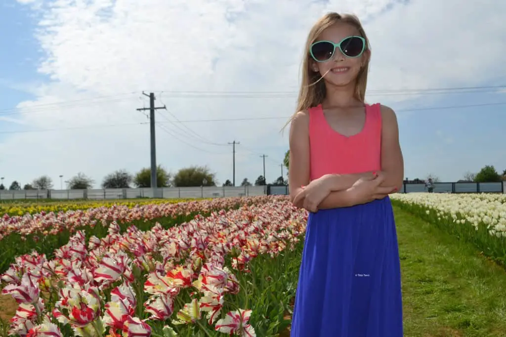 princess cupcake at texas tulips