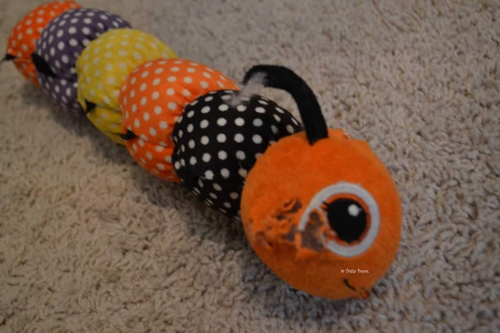 dog toy catepillar