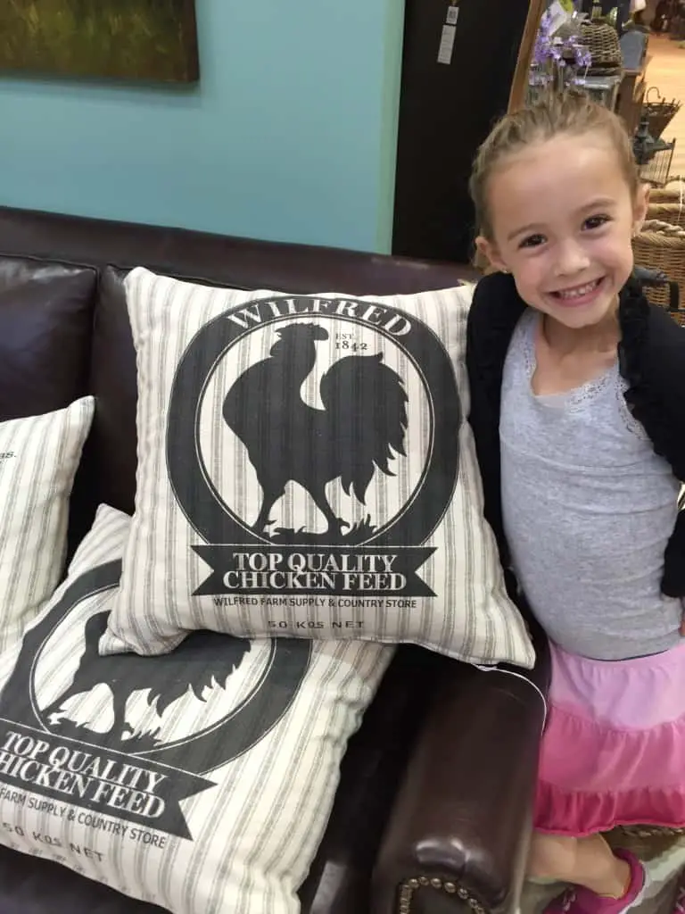 Nebraska Furniture Mart french country pillows Nebraska Furniture Mart french country pillows