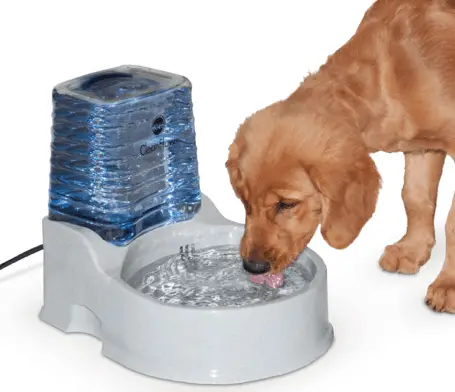 pet fountain