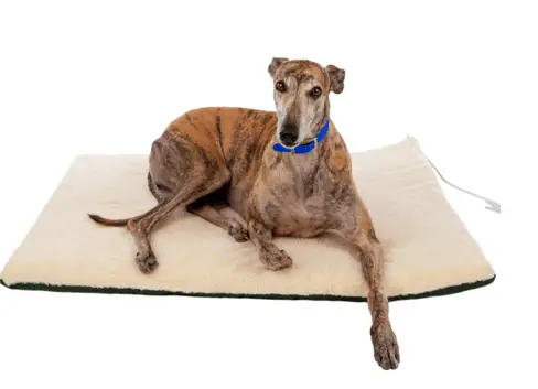 heated pet bed from K&H