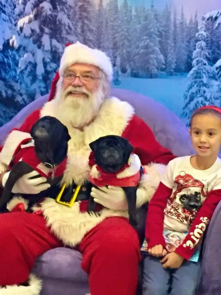 puggies visit santa