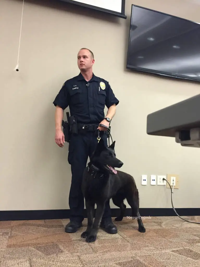 officer sample and cali officer sample and cali