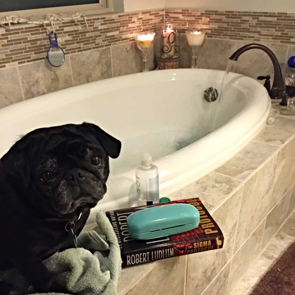 bath time with pug