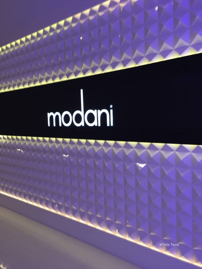 modani logo wall