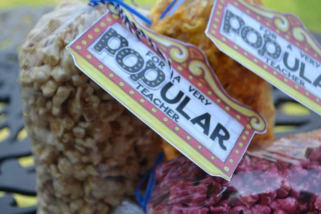 popcorn gift for teacher appreciation day popcorn gift for teacher appreciation day