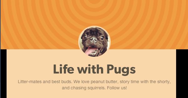 pug tumblr