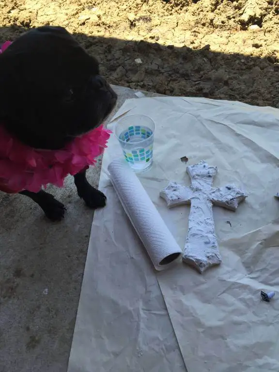 pug helping make the cross